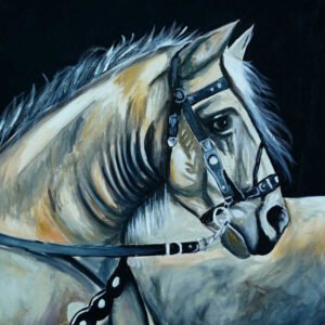 Arabian Black Horse Painting