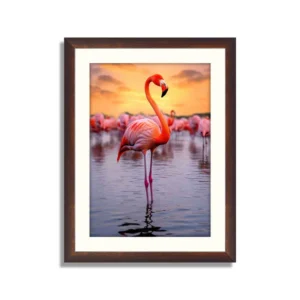 Flamingos Lake