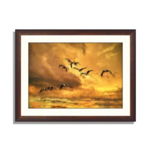 Canada geese